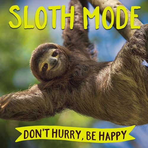 Sloth Mode: Adult Hardcover Book