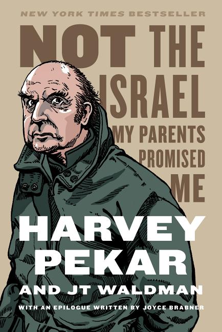 Not the Israel My Parents Promised Me - Ingram