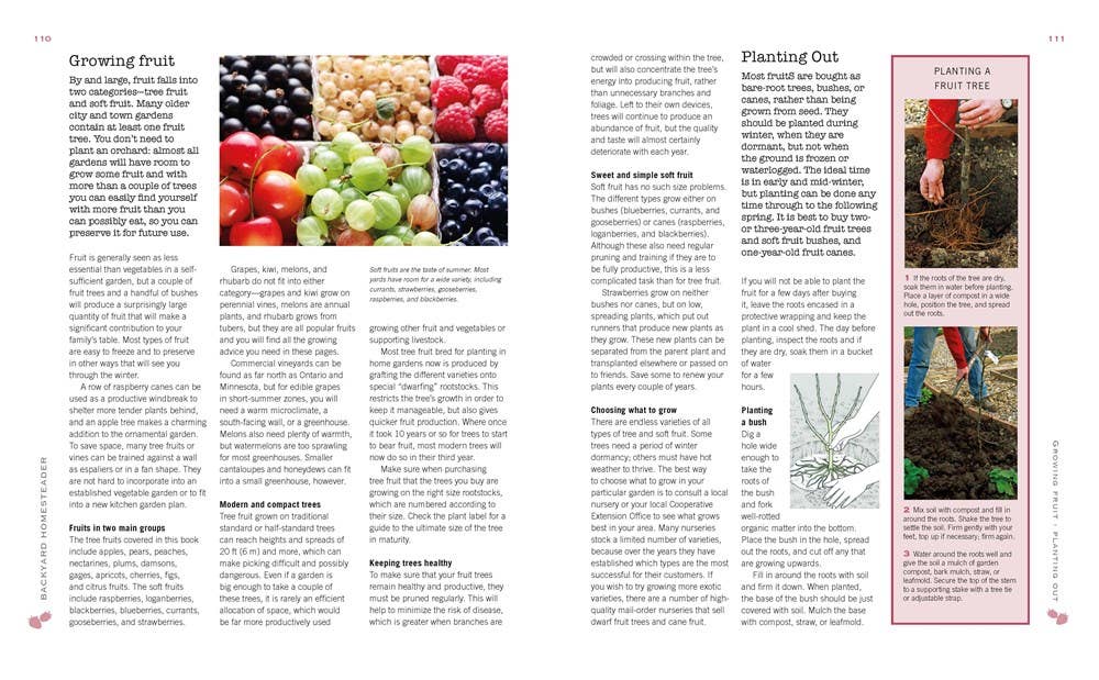 Gibbs Smith - Backyard Homesteader: How to Save Water, Keep Bees, Eat from