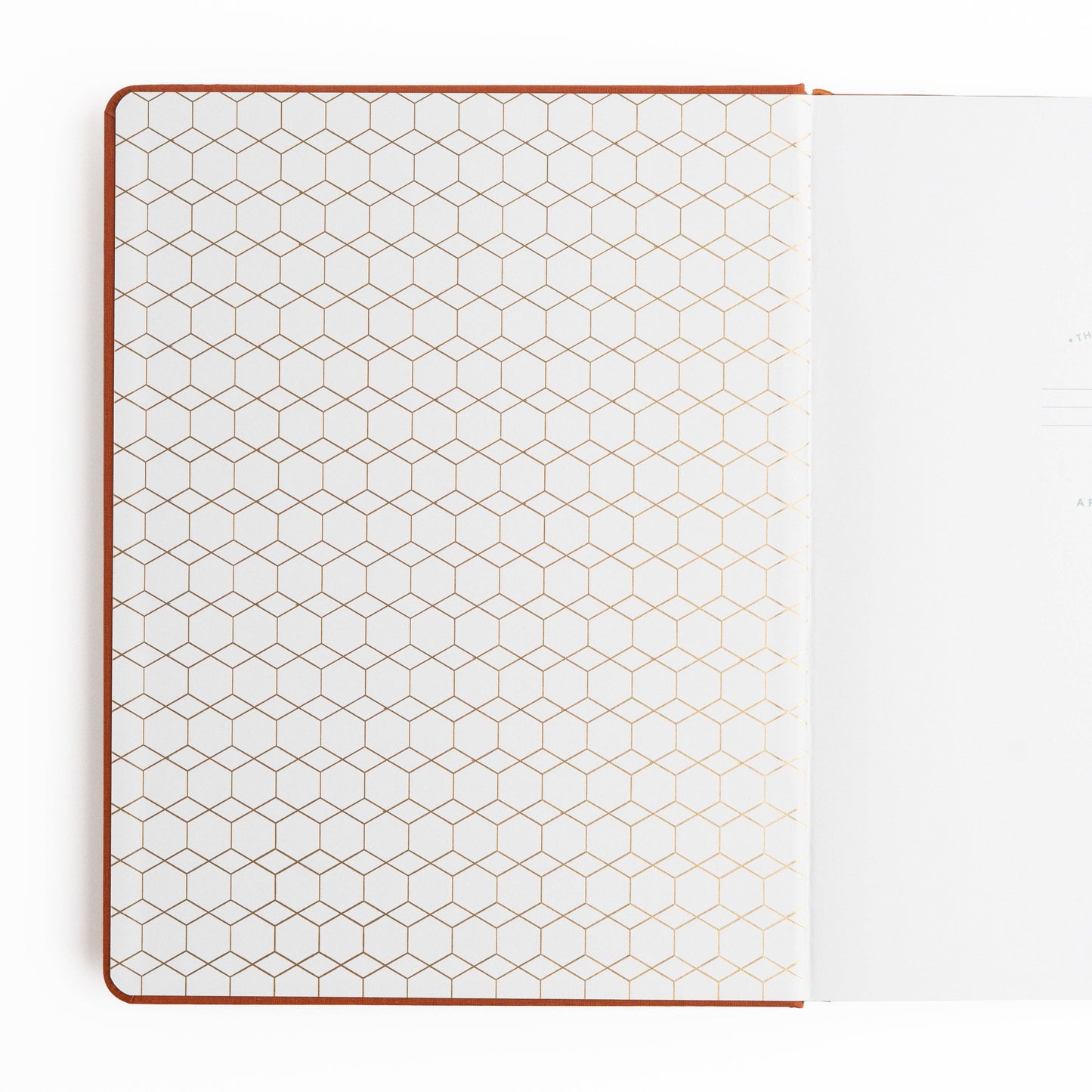 Keeper of the Bees in Rust: Dot Grid / LS: 160 Pages