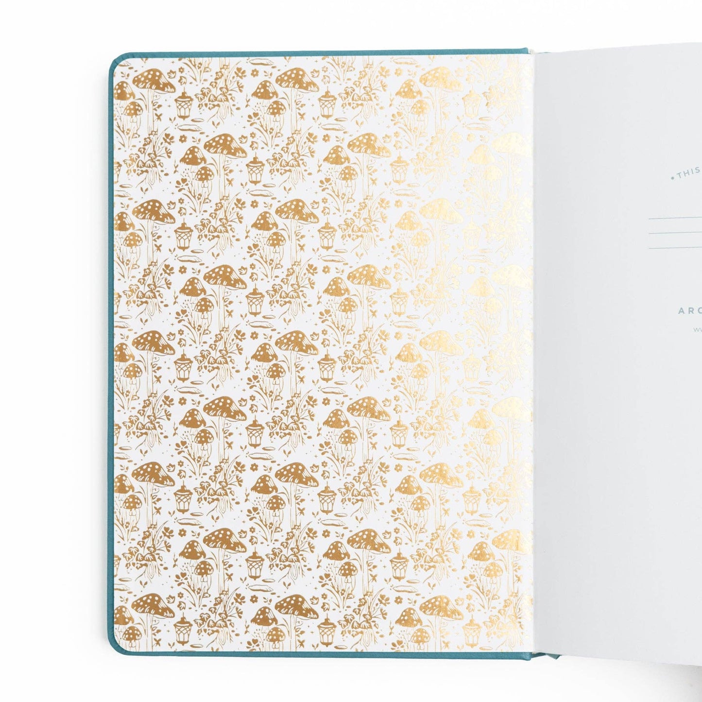 Fairy House | Notebook: Dot Grid / B5: 160 Pages