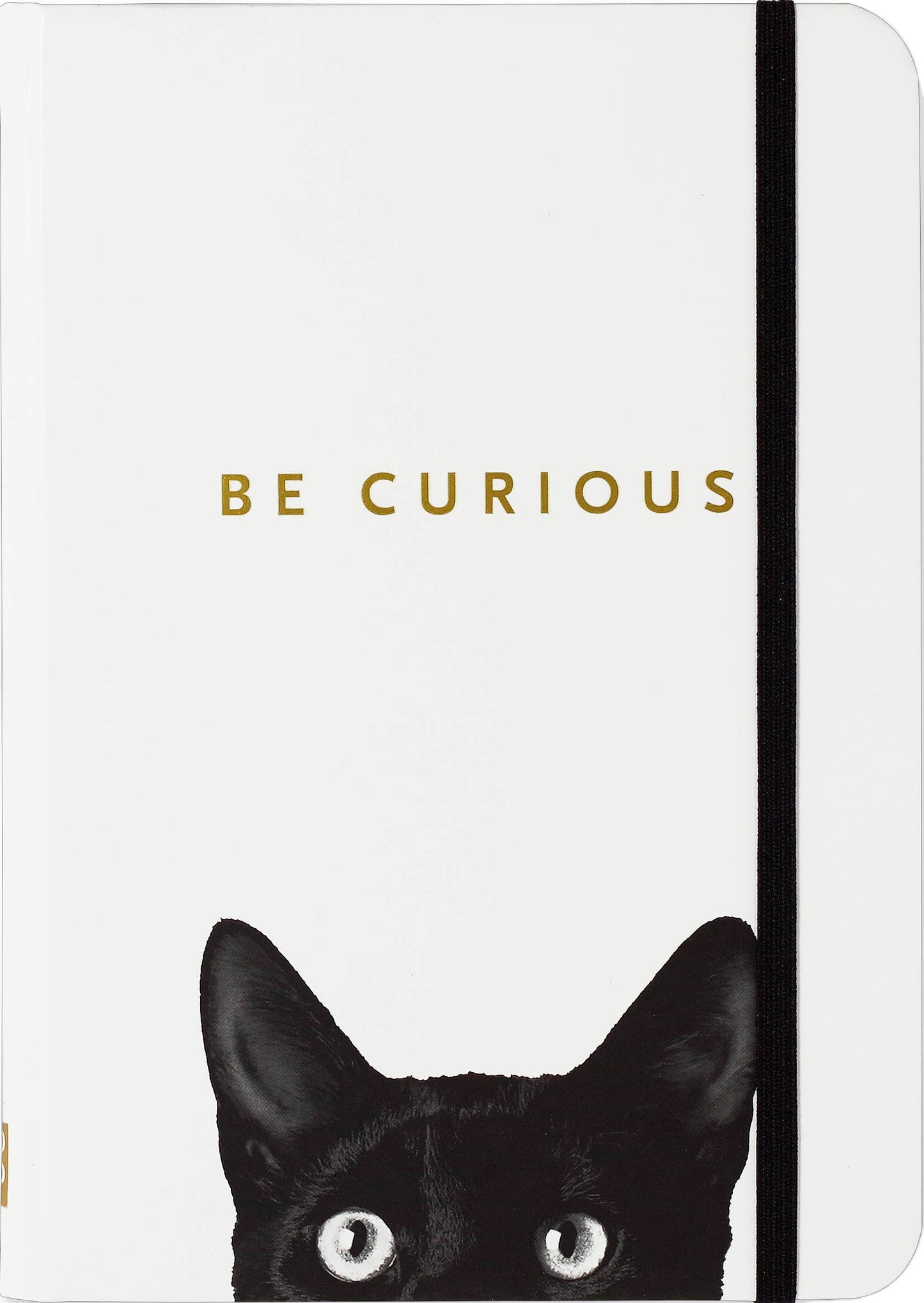 Peter Pauper Press - Curious Cat Journal