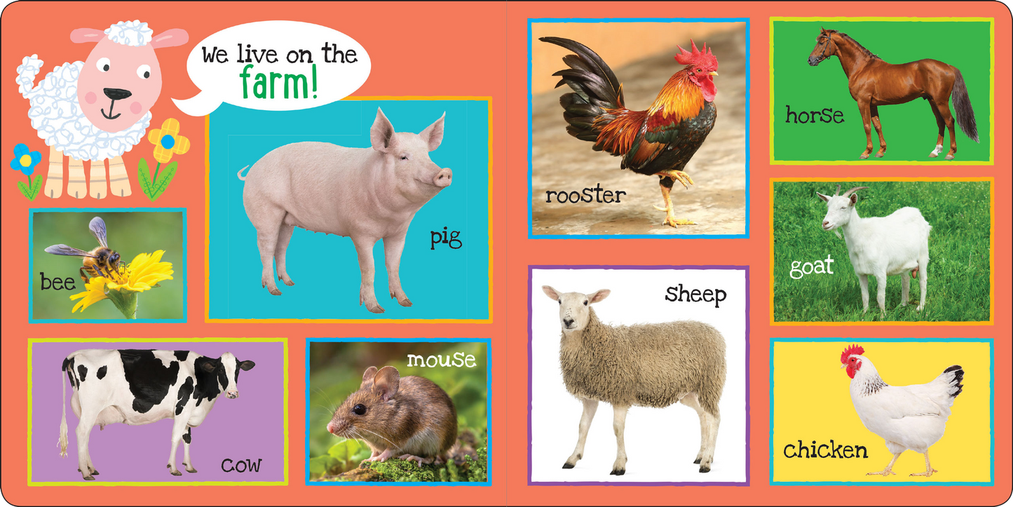 Peter Pauper Press - I'm Learning My First 101 Animals! Board Book