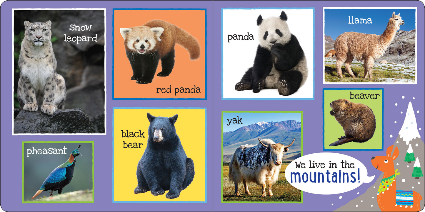 Peter Pauper Press - I'm Learning My First 101 Animals! Board Book