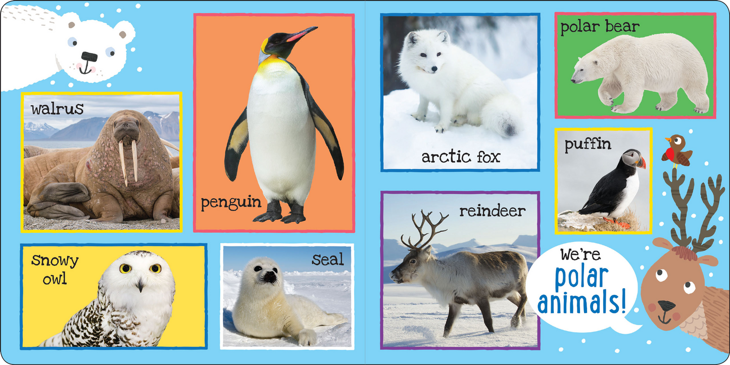 Peter Pauper Press - I'm Learning My First 101 Animals! Board Book