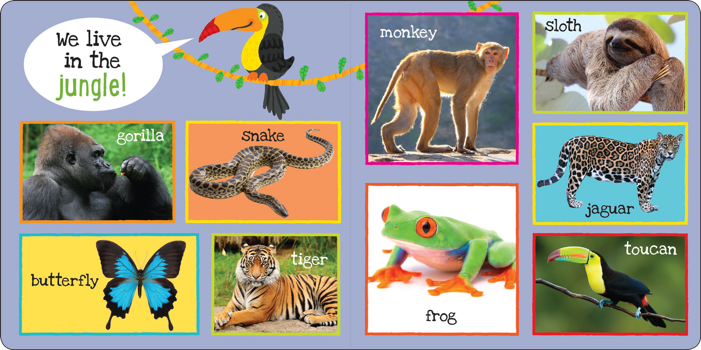 Peter Pauper Press - I'm Learning My First 101 Animals! Board Book
