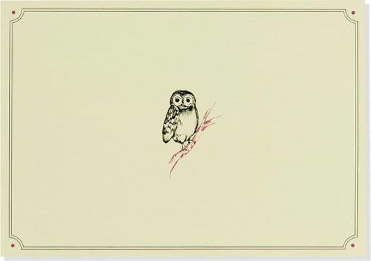 Note Card Owl Portrait by Peter Pauper Press, Inc